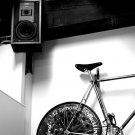 Track Bike (16x24 inches)