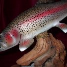 Rainbow Trout Sculpture