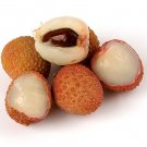 25 lychee seeds