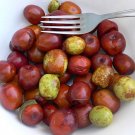 800 Jujube seeds