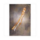 Texas Longhorns Windsock
