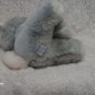 1979 R. Dakin Rabbit Plush