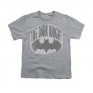 Batman The Dark Knight Shield Youth Unisex T-Shirt Gray