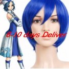 Blue  Fairy Tail Juvia Nylon Cosplay Wig