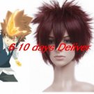 Brown Katekyō Hitman Reborn! Sawada Tsunayoshi Nylon Cosplay Wig