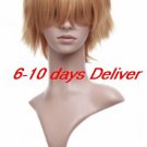 Fabulous Gold  Anime Nylon Cosplay Wig