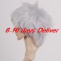 Grey Final Fantasy VII Cloud Strife Cosplay Wig