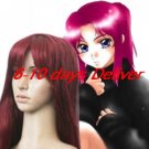 Gundam Seed Fllay Allster Cosplay Wig