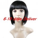 High Quality Synthetic Natural Look Black Straight Hair Wig