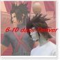 Kingdom Hearts Birth by Sleep Terra Cosplay Wig