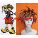 Kingdom Hearts II Sora Cosplay Wig
