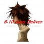 Kingdom Hearts II Sora SPIKY Cosplay Wig