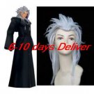 Kingdom Hearts Organization XIII Xemnas Cosplay Wig