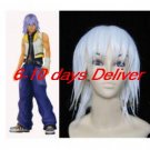 Kingdom Hearts Riku Cosplay Wig
