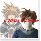Kingdom Hearts Sora Cosplay Wig