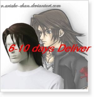Kingdom Hearts Squall Cosplay Wig