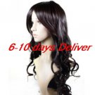 Long High Quality Synthetic Natural Look Auburn Curly Hair Wig