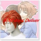 Ouran High School Host Club Hitachiin Hikaru & Kaoru Cosplay Wig