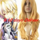 Pandora Hearts Vincent Nightray 70cm Cosplay Wig