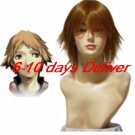 Persona 25cm Cosplay Wig