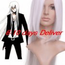 Vivid Silver  Katekyō Hitman Reborn!-Superbia Squalo Nylon Cosplay Wig