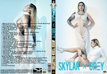 Skylar Grey Music Video DVD