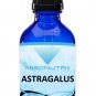 Absonutrix Astragalus Extract 4 Oz Antioxidant helps Anti Aging process and improve Immunity