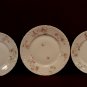Haviland Limoges China Plates Floral Three P-
