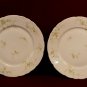 Antique Haviland Plates Floral Green Pink Floral P