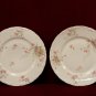 Haviland Plates Floral Pink Burgundy  Blue Two P