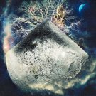 Space Dementia - 11x14