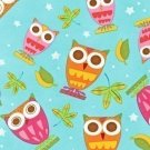 On a Whim Owls on Aqua Fabric