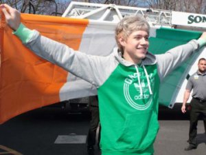 Lucky Charm Niall Horan 1 Direction Inspired