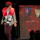 Cat Harry Styles 1 Direction
