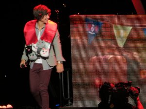 Cat Harry Styles 1 Direction