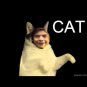 Cat Harry Styles 1 Direction