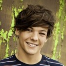 Lou Bear Louis Tomlinson 1 Direction