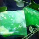 Water Lily & Jasmine