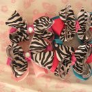 Zebra Zoo