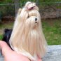 Dog art sculptures custom made from your pictures
