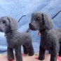 Dog art sculptures custom made from your pictures