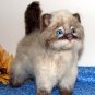Dog art sculptures custom made from your pictures