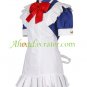 Battle Vixens Cosplay Costume
