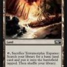 TERRAMORPHIC EXPANSE