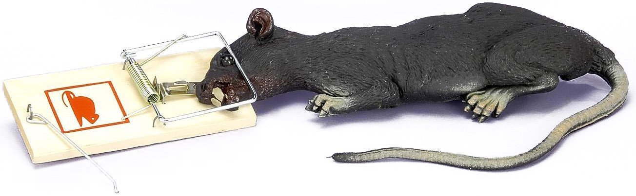 Rat trap