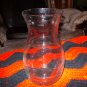 Hurricane Glass Flower Vase