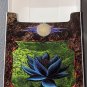 Ultra Pro Black Lotus Deck box with Red Shield Deck Protectors