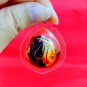 P285 Pendant Thai Buddha Amulet Talisman Powerful Charm Wealth LP Phra Garuda