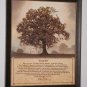 NEW FRAMED LIVING LIFE CONTEMPORARY OUTDOOR PRINT