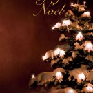 David Lanz - Joy Noel Piano Solo